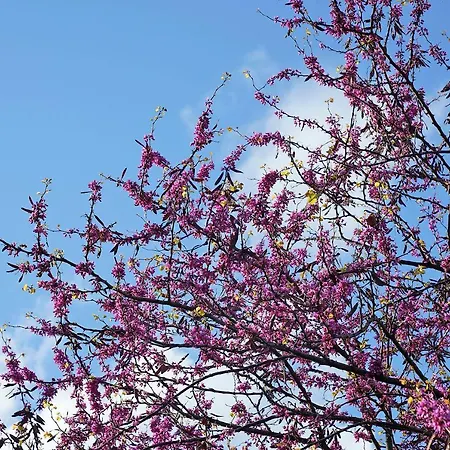 Il Chiostrino 4* 가르도네리비에라